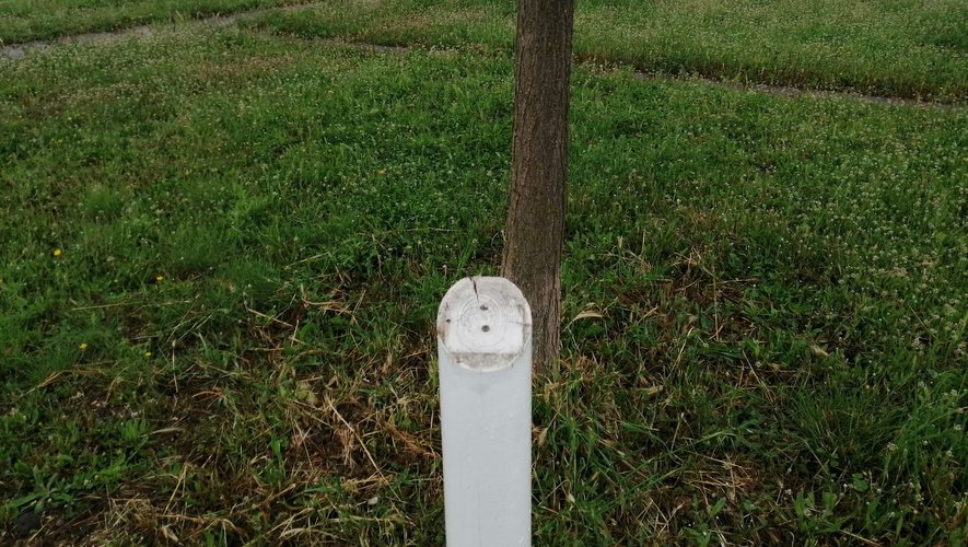 AAE94b2EB0F0Cce56f